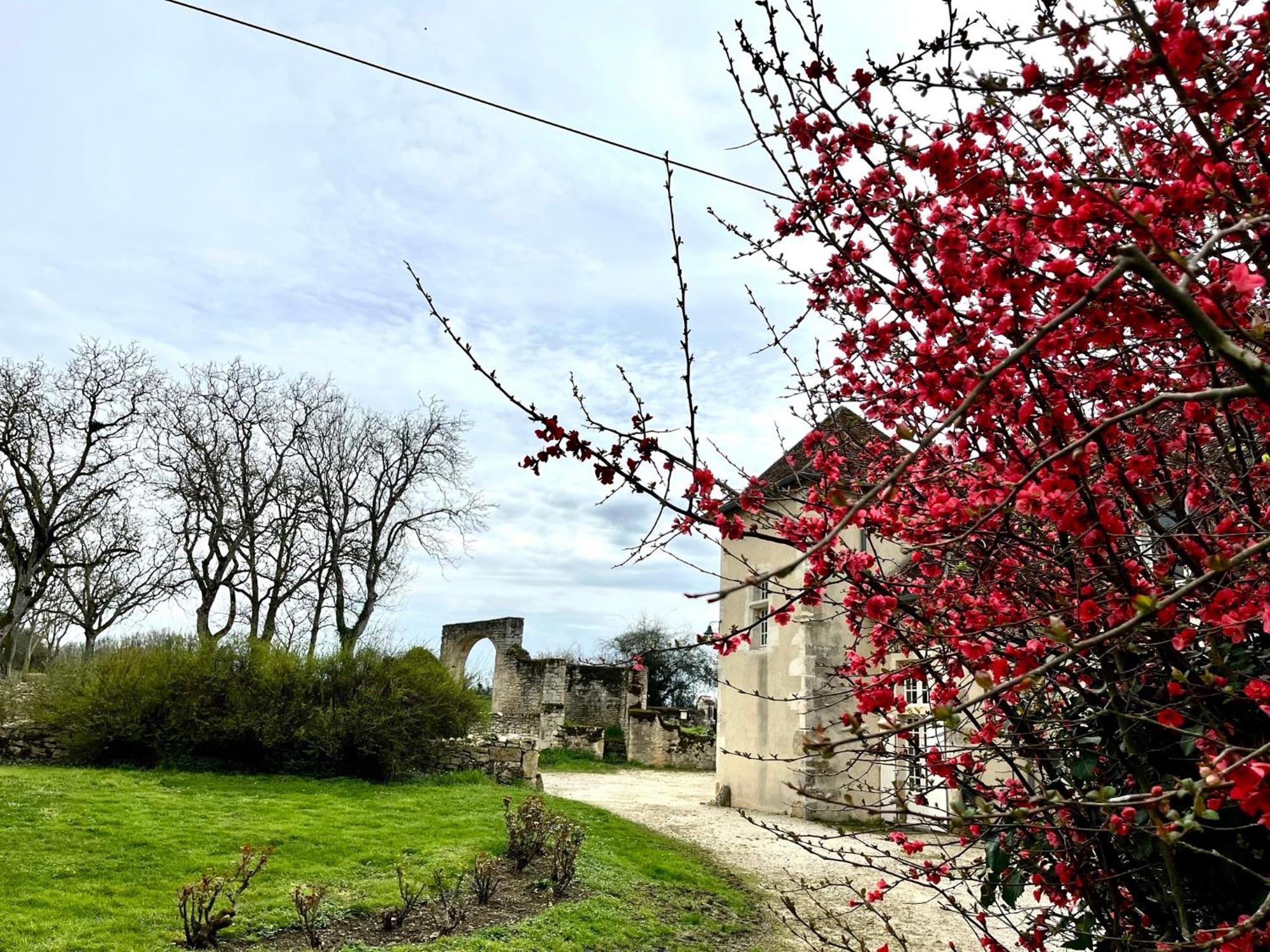 O2 Tours Bed & Breakfast Ourouer-les-Bourdelins Eksteriør bilde